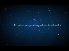 การทดสอบอย่างรวดเร็ว