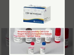 Biovantion High-Sensitivity CMV ELISA Reagent Kit สําหรับการตรวจหาแอนติบอดีต่อไวรัสไซโตเมกัลโอไวรัส
