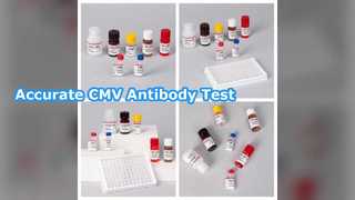 ชุดทดสอบ CMV ELISA สำหรับการตรวจหาแอนติบอดี