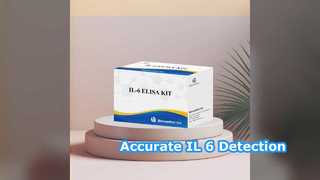 IL-6 ELISA Kit 96 ทดสอบการตรวจจับที่แม่นยำ