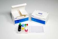 96 การทดสอบ 60 Min IgG Elisa Kit ตัวอย่างเซรั่มทดสอบ COVID-19 ของมนุษย์