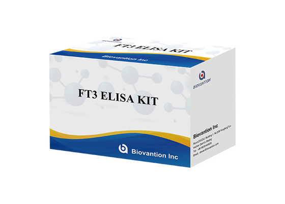 สําหรับห้องปฏิบัติการหรือโรงพยาบาล คิตทดสอบไทยอดอธิโรนีนฟรี ELISA ที่กระตุ้นฟอลลิกุลความแม่นยําสูง