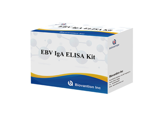 EBV-VCA IgA Ab ทดสอบ ELISA Kit เอนไซม์ Immunoassay ทดสอบพลาสม่าตัวอย่าง
