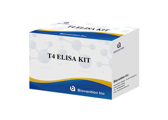 Thyroxine T4 Elisa คู่ตรวจสอบ