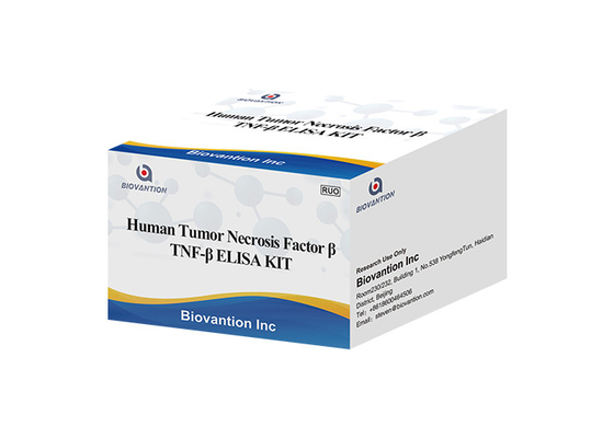 TNFB TNFSF1 Lymphotoxin Alpha LTA ELISA KIT ปัจจัยเนื้องอกเนื้องอกในมนุษย์ Beta