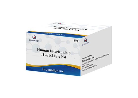 ชุดทดสอบ Human Interleukin 6 RUO IL-6B-Cell Stimulatory Factor 2 BSF-2 IFNB2