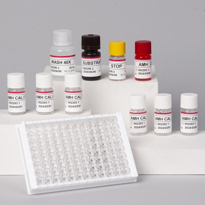 Anti Mullerian Hormone Elisa AMH ชุดทดสอบ Plasma Amh Elisa Test