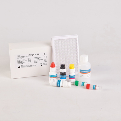 RUO HAV-IgM Elisa คิต