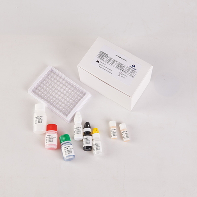 RUO HSV2 IgM Elisa คิท