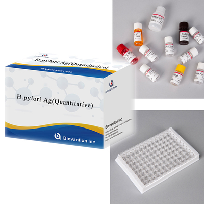การทดสอบ ELISA Helicobacter Pylori Antigen H.pylori Ag ((ปริมาณ)