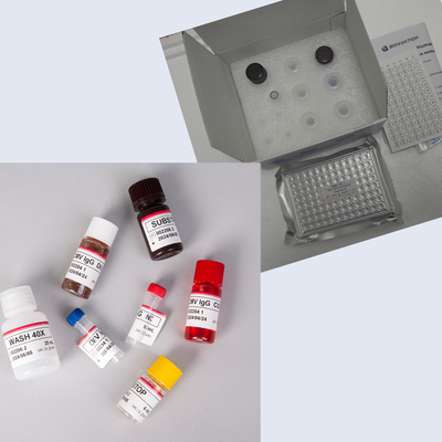 MEPI คน Elisa Kit กับ 96T
