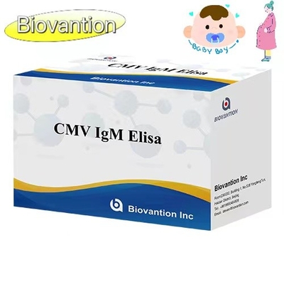 CMV IgM ELISA Kit ความแม่นยําสูง ผู้หญิงตั้งครรภ์ การทดสอบป้องกัน