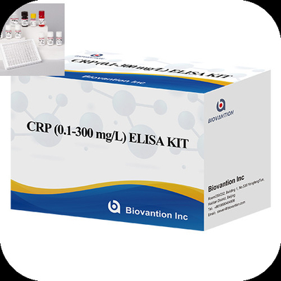 CRP 0.1-300 Mg/L ความเฉพาะของ Elisa Test Kit กับเวลาการทดสอบรวดเร็ว 1 ชั่วโมง