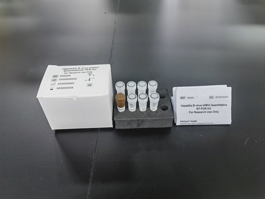 เชื้อไวรัสตับอักเสบ B HBV PCR คิตปริมาณ ความรู้สึกแบบตัวอย่าง คิตทดสอบแบบตัวอย่าง ด้วย 96 การทดสอบ