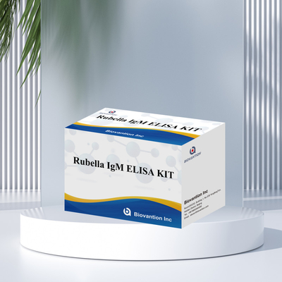 Elisa Test Kit For Rubella IgM เครื่องมือตรวจหาแอนติบอดี IgG สําหรับโรเบลล่าที่ใช้ในมนุษย์