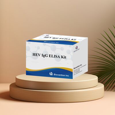 ชุดทดสอบ HEV-IgG ELISA ความรู้สึกสูง ขนาด 96T และอายุการใช้ 18 เดือนสําหรับการวินิจฉัยโรคตับอักเสบเอ