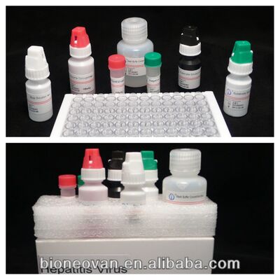 ชุดทดสอบ HBsAg ELISA ความรู้สึกสูง มีเวลาทดสอบ 2-3 ชั่วโมง และอายุการใช้ 18 เดือนสําหรับการตรวจพบโรคตับอักเสบ B