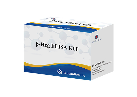 คิต Elisa สําหรับ β-HCG สําหรับ β-Human Chorionic Gonadotropin