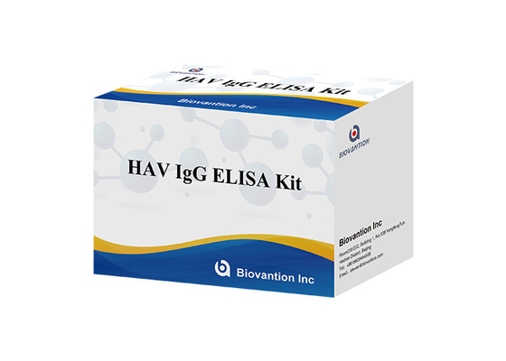 HAV IgG Elisa Kit ชุดตรวจวินิจฉัยแอนติบอดีสำหรับไวรัสตับอักเสบเอ