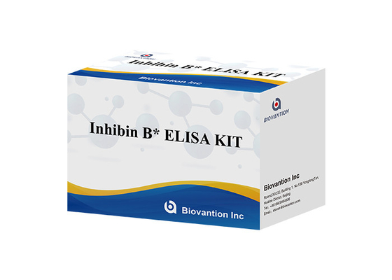 ห้องปฏิบัติการหรือโรงพยาบาล ความละเอียดสูง Inhibin B การตรวจพบทางภูมิคุ้มกัน ELISA TEST KIT