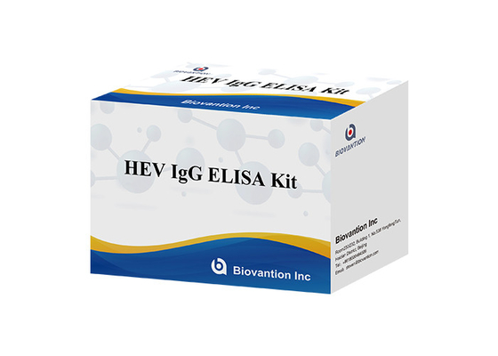 HEV Human Igg Elisa Kit Diagnostic สำหรับ IgG Antibody To Hepatitis E Virus