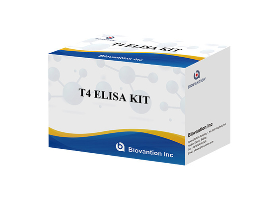 Thyroxine T4 Elisa Detection Kit การตรวจสอบแม่นยําสูง การใช้ในโรงพยาบาลและห้องปฏิบัติการ