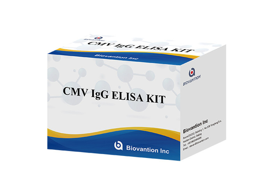 ห้องปฏิบัติการหรือโรงพยาบาล CMV IgG ELISA TEST KIT