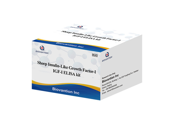 Sheep Igf1 Elisa Kit Insulin Like Growth Factor I Somatomedin