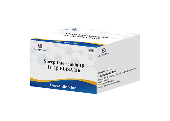 แกะ Interleukin 1 Beta Elisa Kit IL1F2 ELISA RUO ชุดทดสอบ Il1b Elisa Kit