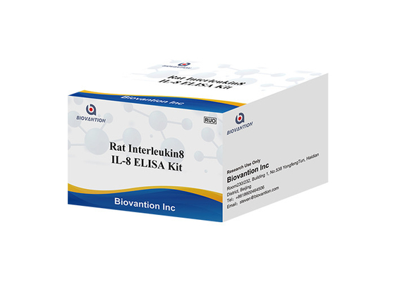 หนู IL-8 Interleukin 8 Elisa Kit CXCL8 ชุดทดสอบ Elisa Chemokine (C-X-C Motif) Ligand 8