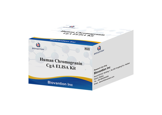 CgA ELISA RUO ชุดทดสอบ Human Chromogranin A Elisa Kit ต่อมใต้สมองหลั่งโปรตีน I