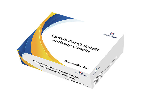 Epstein Barr EB IgG/IgM เร็ว คาเซ็ต การตรวจสอบการตรวจพบ วันหมดอายุ 24 ปาก