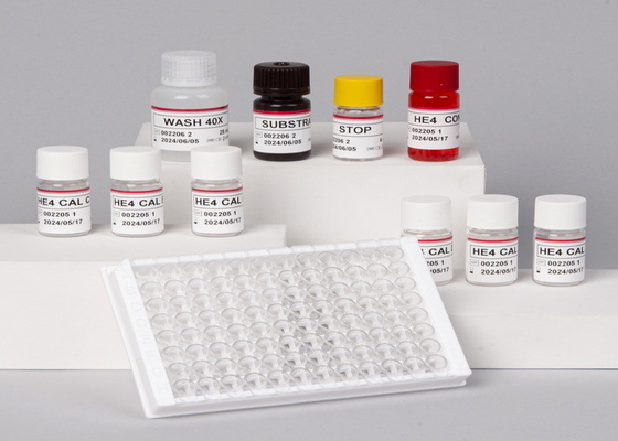 Alpha Fetoprotein AFP Elisa Test Kit สําหรับห้องปฏิบัติการหรือโรงพยาบาล