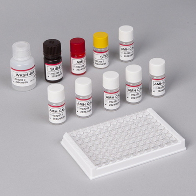 ชุดทดสอบ AMH พลาสม่า 80 นาที Anti Mullerian Hormone Blood Test