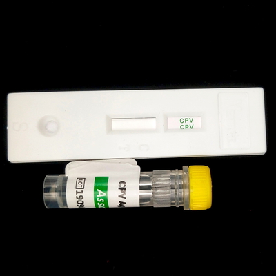 เซรั่ม โฮมอนกระตุ้นต่อไทรอยด์ 96 ชุดสารปฏิกิริยา THS Elisa สําหรับ 96 คน