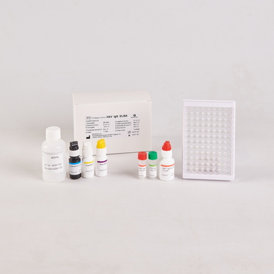 Human TNF-α Elisa Kit สําหรับ RUO Test Kit/ Human tumor necrosis factor Elisa Kit คู่มือทดสอบ TNF-α ของมนุษย์