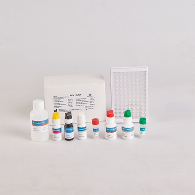 Human PTH Elisa Kit/Human Parathyroid Hormone Elisa Kit สําหรับ RUO ด้วย 96 การทดสอบ