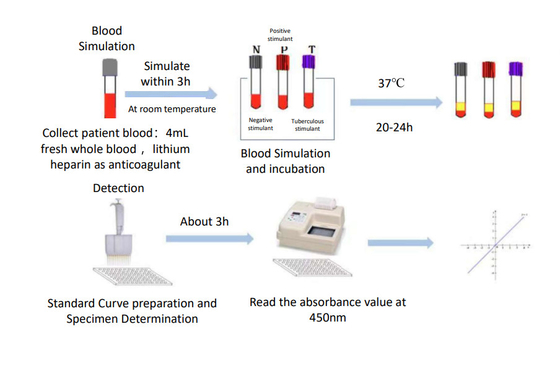 คิต TB-IGRA Elisa ผลการวินิจฉัยที่รวดเร็วและแม่นยํา