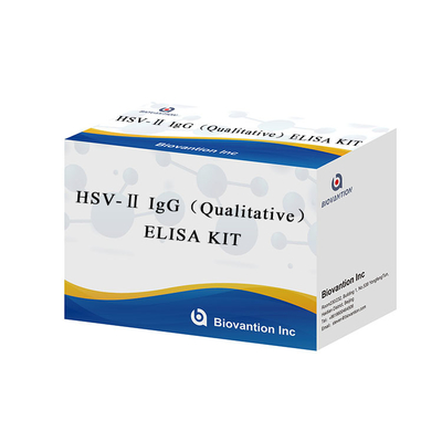 แอนติบอดีต่อไวรัสแฮร์เพสซ simplex (HSV-II) IgG อ่อนโยน Elisa Kit Format Kit Biovantion สําหรับการวัดที่แม่นยํา