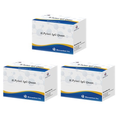 H.Pylori IgG Quant. Elisa Kit Origin Elisa Test Kit Format Kit จากบริษัท ไบโอเวนชั่น
