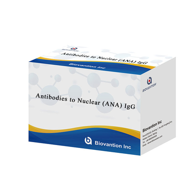 อานติบอดีต่อนิวเคลียร์ (ANA) IgG แบบทดสอบ ELISA Elisa Kit