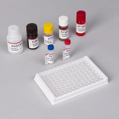 RV-G Elisa Test Kit สําหรับการวินิจฉัยประเภทตัวอย่างพลาสมา