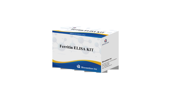 Ferritin ELisa Test Kit ความรู้สึกต่อเซรมอย่างรวดเร็ว Elisa Test Biovantion 2-3 ชั่วโมง เวลาการตรวจ 2-8.C การเก็บรักษา