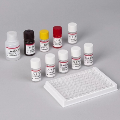 IL-6 Interleukin 6 Elisa Test Kit with 2-3 Hours Assay Time Biovantion เซรั่ม / พลาสมารูปแบบ 18 เดือน