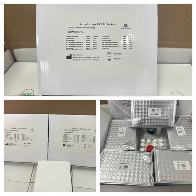 H Pylori ELISA Test Kit 480test/kit Elisa Screening Kit ผลการตรวจ