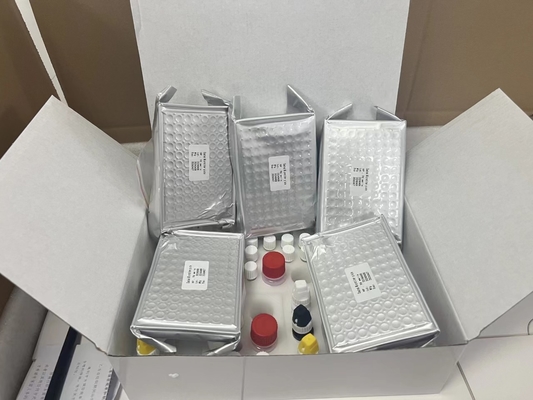 H Pylori ELISA Test Kit 480test/kit Elisa Screening Kit ผลการตรวจ