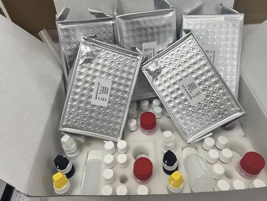 11-เดฮิดรอทรอมโบซาน B2 11dhTxB2 ELISA Test Kit IVD ความแม่นยําสูงและการทํางานง่าย