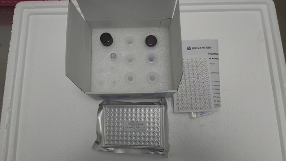 IGF-1 RUO elisa test for Specificity Serum/Plasma Assay 2-3 ชั่วโมง ELISA Test เก็บไว้ที่ 2-8.C