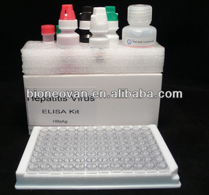 การวินิจฉัย HBsAg ที่แม่นยําใน 2-3 ชั่วโมง ด้วย Enzyme-Linked Immunosorbent Assay Test Kit