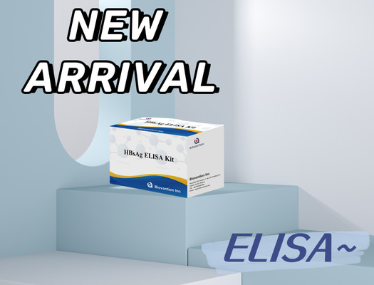 การวินิจฉัย HBsAg ที่แม่นยําใน 2-3 ชั่วโมง ด้วย Enzyme-Linked Immunosorbent Assay Test Kit